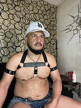 the master foal  online show from March 2026 07:20:02 PM