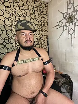 the master foal  online show from March 2026 05:28:01 PM