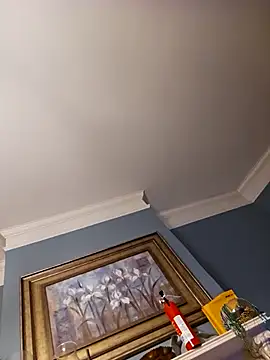 chosen923 online show from February 2025 02:39:02 AM