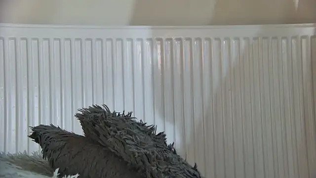 curvyana69 online show from January 2026 05:27:02 PM