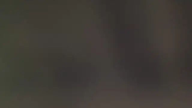 leccaleccafiga online show from February 2026 06:17:01 PM