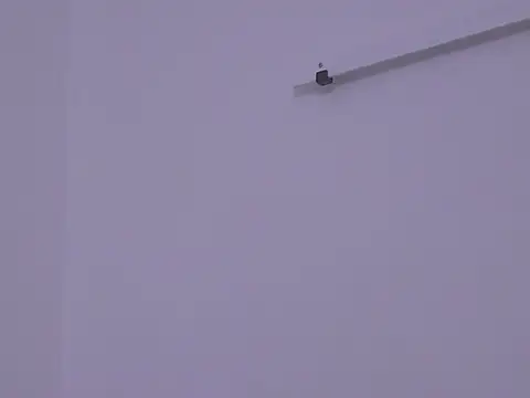 BustyMadison online show from November 2025 09:19:02 AM