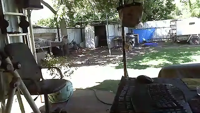 herbie010666 online show from January 2025 05:11:01 AM