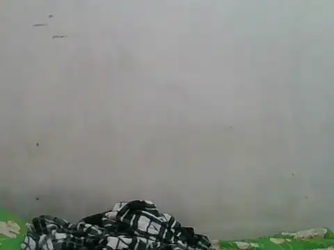 Snapshot of simplewild_mom chatting on September 2025 12:34:01 AM simplewild mom online show from September 2025 12:34:01 AM