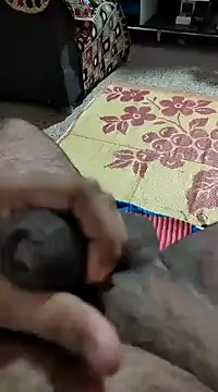 Snapshot of Swift2006 chatting on February 2025 04:11:02 AM Swift2006 online show from February 2025 04:11:02 AM