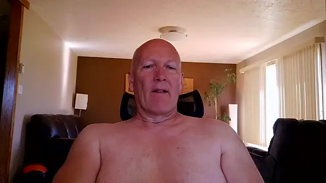 BasicAnt online show from June 2026 02:52:01 PM