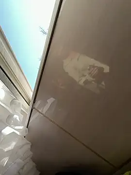 TigerOne19 online show from March 2026 07:34:01 AM