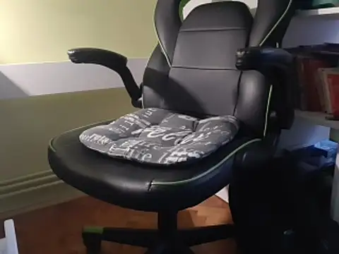 feathersify online show from February 2026 06:34:01 AM