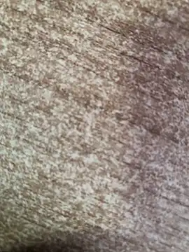 gokhanbey34 online show from October 2025 02:36:02 PM