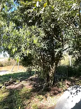 AliceStone19 online show from September 2025 05:24:02 PM