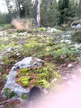 Snapshot of Andreashow chatting on September 2025 04:09:02 PM Andreashow online show from September 2025 04:09:02 PM