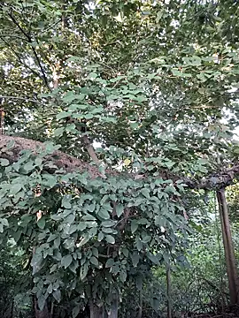 Rinku5553 online show from September 2025 02:06:02 AM