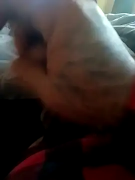 Snapshot of yellowwetfox chatting on November 2025 09:58:01 PM yellowwetfox online show from November 2025 09:58:01 PM