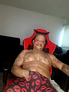 Snapshot of yellowwetfox chatting on February 2026 02:33:01 PM yellowwetfox online show from February 2026 02:33:01 PM