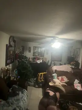 Cataleia21 online show from December 2025 12:22:02 PM