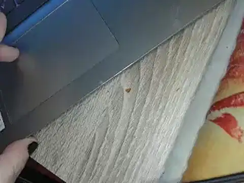 ThickBones online show from February 2025 09:14:01 PM