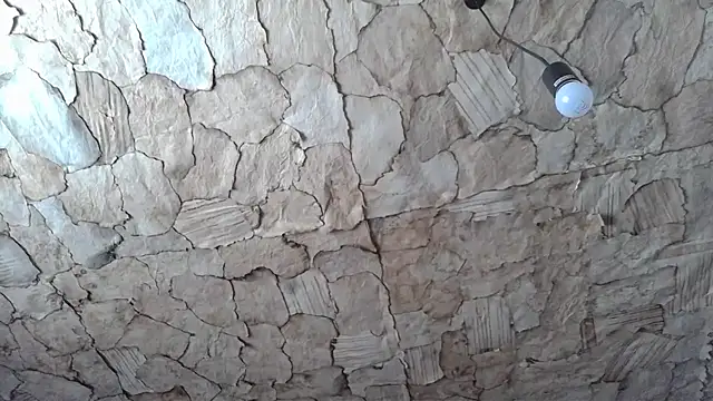 ThickBones online show from February 2026 01:27:01 PM