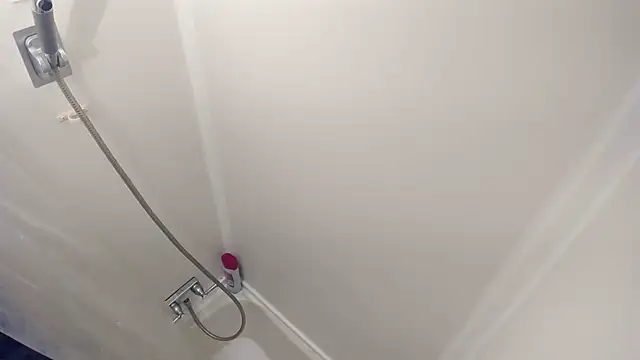 Snapshot of nosh456 chatting on February 2026 12:07:01 AM nosh456 online show from February 2026 12:07:01 AM