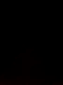 Snapshot of Like_african chatting on February 2026 04:33:01 PM Like african online show from February 2026 04:33:01 PM