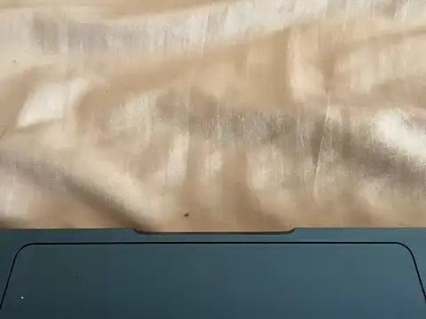 rohitsen222 online show from January 2026 08:38:01 AM