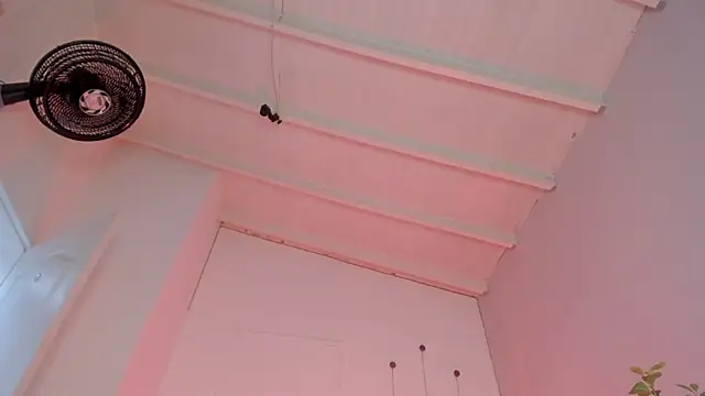 swt-booty online show from November 2025 06:52:01 PM