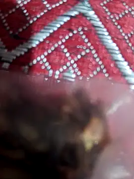 Snapshot of XBHUUME chatting on February 2025 10:15:02 AM XBHUUME online show from February 2025 10:15:02 AM