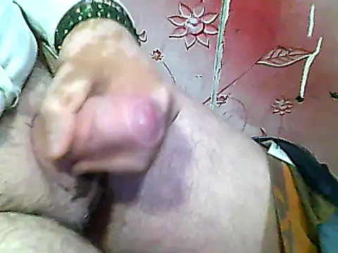 two colour cock online show from January 2025 09:11:02 PM