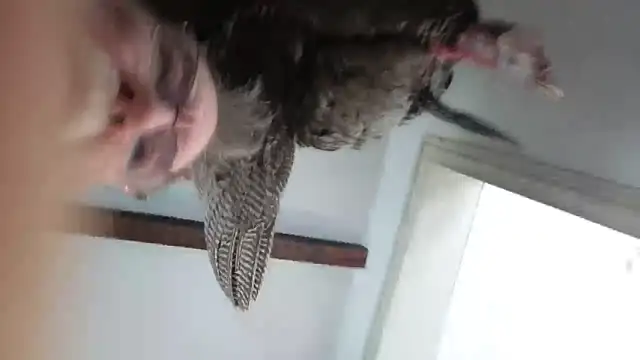 CDforU online show from February 2026 05:52:01 PM