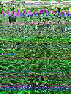 Snapshot of Wolfeman74 chatting on July 2026 06:54:01 PM Wolfeman74 online show from July 2026 06:54:01 PM