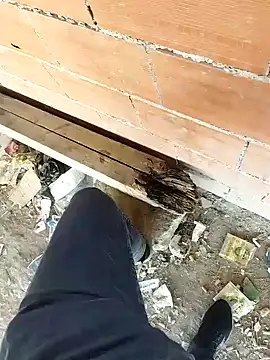 Snapshot of K-27 chatting on October 2025 09:07:01 AM K-27 online show from October 2025 09:07:01 AM