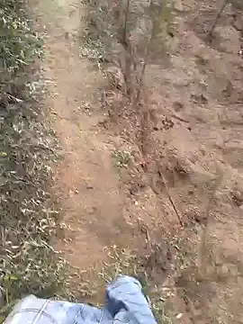 Snapshot of Gopal1243 chatting on January 2025 01:53:02 AM Gopal1243 online show from January 2025 01:53:02 AM