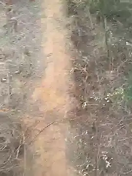 Snapshot of Gopal1243 chatting on February 2025 02:08:01 AM Gopal1243 online show from February 2025 02:08:01 AM