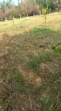 Snapshot of Gopal1243 chatting on February 2025 04:01:01 AM Gopal1243 online show from February 2025 04:01:01 AM