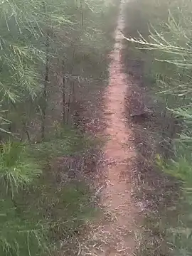 Snapshot of Gopal1243 chatting on February 2025 01:47:02 AM Gopal1243 online show from February 2025 01:47:02 AM