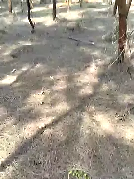 Snapshot of Gopal1243 chatting on February 2025 05:33:02 AM Gopal1243 online show from February 2025 05:33:02 AM