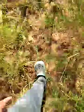 Gopal1243 online show from January 2026 07:55:01 AM