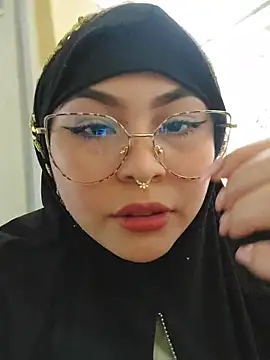 Snapshot of Hana___ chatting on April 2026 09:17:02 PM Hana online show from April 2026 09:17:02 PM