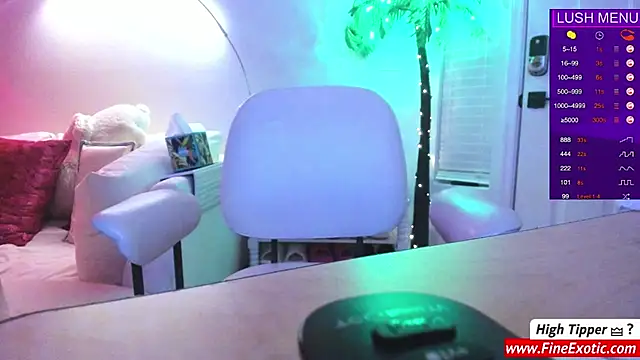 Snapshot of Vesaaa chatting on December 2024 08:07:02 AM Vesaaa online show from December 2024 08:07:02 AM