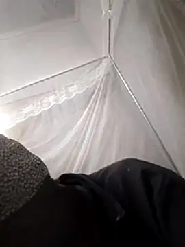 shape30 online show from March 2026 05:14:02 AM