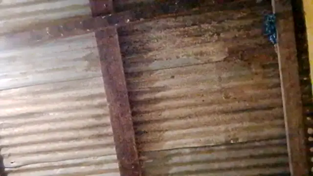 Snapshot of LULE37587001 chatting on February 2026 11:05:02 PM LULE37587001 online show from February 2026 11:05:02 PM