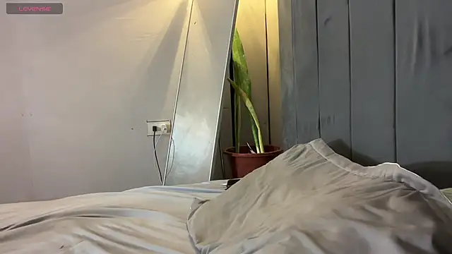 wiggle nibble online show from February 2026 03:49:02 PM