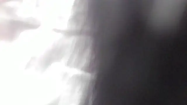 Emma Torres   online show from February 2025 03:08:01 PM