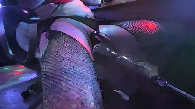 Snapshot of slankecrosdresser chatting on November 2025 12:57:02 AM slankecrosdresser online show from November 2025 12:57:02 AM