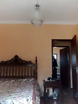 White rabbit  online show from December 2024 10:08:01 AM