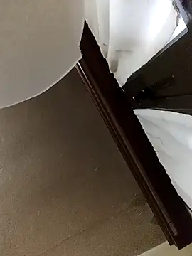 White rabbit  online show from December 2024 04:53:02 PM