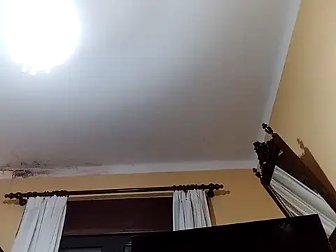 White rabbit  online show from February 2025 09:14:02 PM