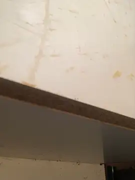 Snapshot of foxiks chatting on April 2026 11:37:01 AM foxiks online show from April 2026 11:37:01 AM