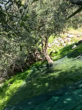 Snapshot of VictoriaMiami chatting on November 2025 08:44:01 AM VictoriaMiami online show from November 2025 08:44:01 AM