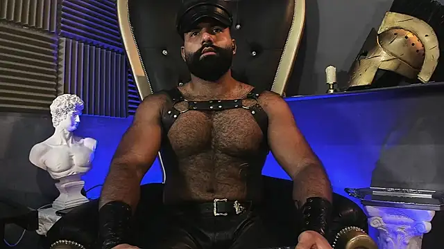 Snapshot of BeardAndrew chatting on February 2026 10:03:02 PM BeardAndrew online show from February 2026 10:03:02 PM