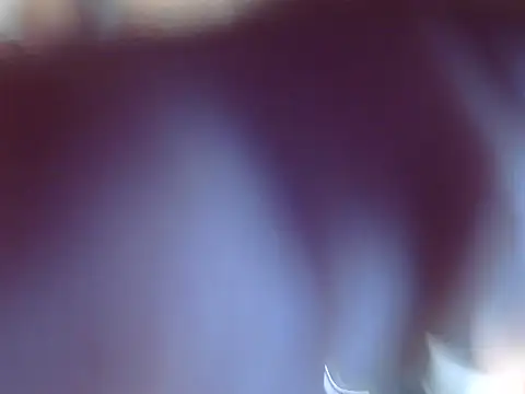 Snapshot of OSIRlS chatting on December 2024 09:37:01 PM OSIRlS online show from December 2024 09:37:01 PM